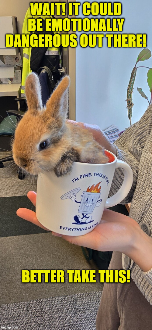 Emotionall back up | wait! It could be emotionally dangerous out there! better take this! | image tagged in bunny,journey,protection,funny | made w/ Imgflip meme maker