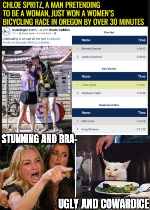 Stunning and bra-; ugly and cowardice | image tagged in smudge the cat,transgender,lgbtq,identity politics,politics | made w/ Imgflip meme maker