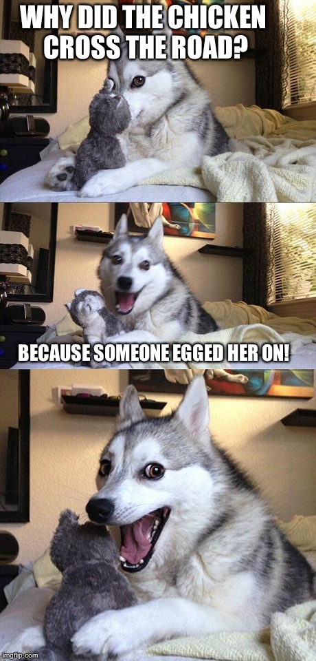 A Long-Awaited Answer to An Old Question | WHY DID THE CHICKEN CROSS THE ROAD? BECAUSE SOMEONE EGGED HER ON! | image tagged in memes,bad pun dog | made w/ Imgflip meme maker