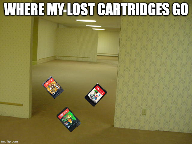 i lost like $200 in games so far (ง ‵□′)ง | where my lost cartridges go | image tagged in the backrooms,video games,nintendo switch | made w/ Imgflip meme maker