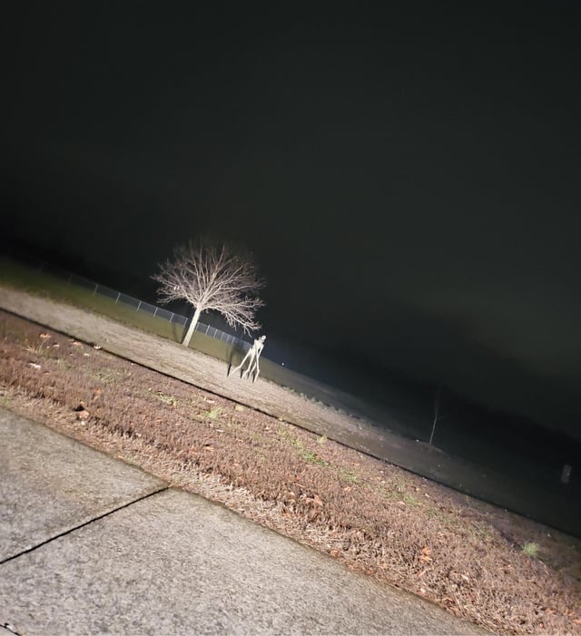 wait, am i hallucinating? Oh- OH FRICK! RUN! RUN! RUN! Blank Meme Template
