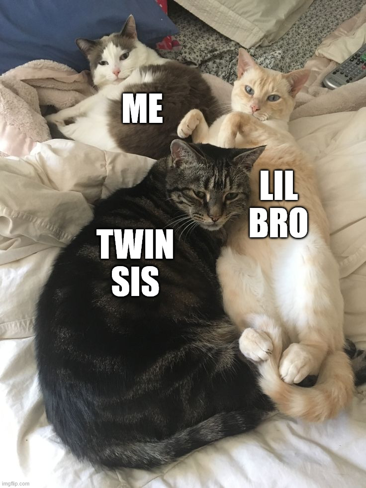 Siblings | Me; Lil Bro; Twin
Sis | image tagged in duo in a trio | made w/ Imgflip meme maker