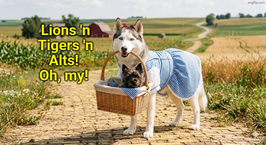Lions 'n
Tigers 'n
Alts! 
Oh, my! | made w/ Imgflip meme maker