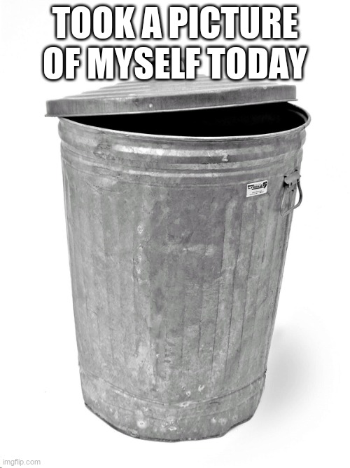 . | took a picture of myself today | image tagged in trash can | made w/ Imgflip meme maker
