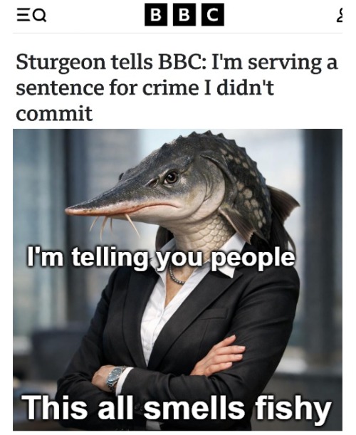 Idk, some British politician, but she's apparently a sturgeon | image tagged in funny,bad puns,politics | made w/ Imgflip meme maker