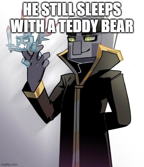 Evoker Summoning Vexes | he still sleeps with a teddy bear | image tagged in evoker summoning vexes | made w/ Imgflip meme maker