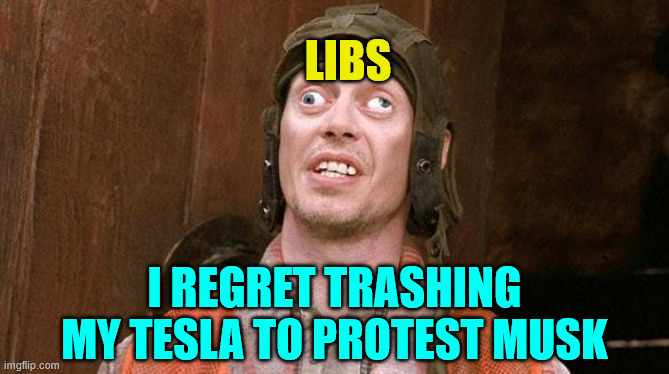 Steve Buscemi | Libs I regret trashing my Tesla to protest Musk | image tagged in steve buscemi | made w/ Imgflip meme maker