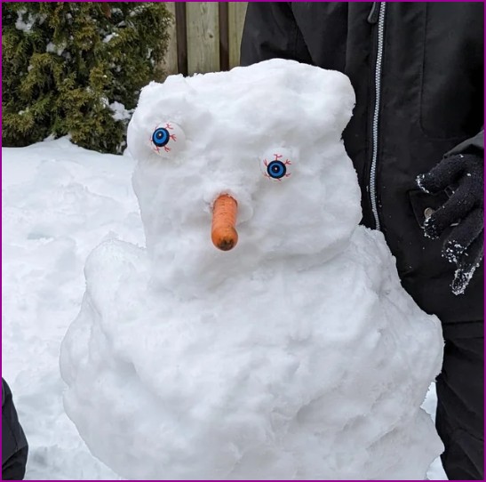 Snowman Fail Blank Meme Template