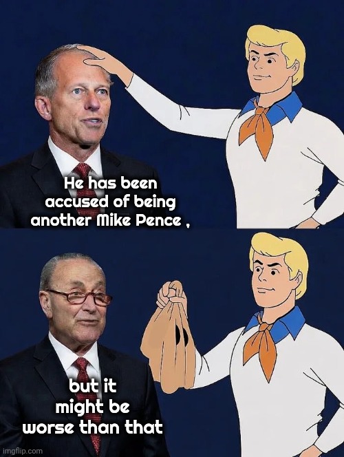 Just Another RINO | He has been accused of being another Mike Pence , but it might be worse than that | image tagged in senate majority leader,don't do it,thune,chuck schumer,they're the same picture | made w/ Imgflip meme maker