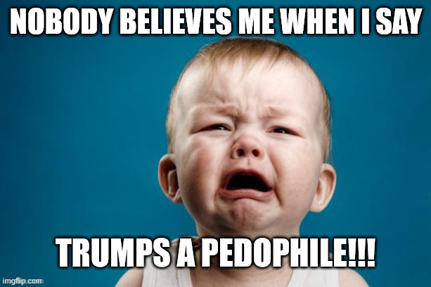 All they have are BS accusations | Nobody believes me when I say | image tagged in crybaby libs,bs accusations,never any real proof | made w/ Imgflip meme maker