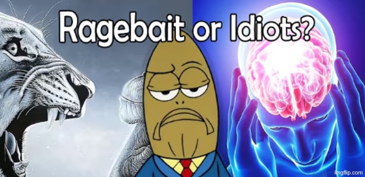 image tagged in ragebait or idiots | made w/ Imgflip meme maker