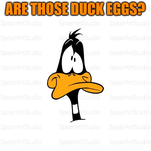 il_794xN.6637055001_hojo.webp | Are those duck eggs? | image tagged in il_794xn 6637055001_hojo webp | made w/ Imgflip meme maker