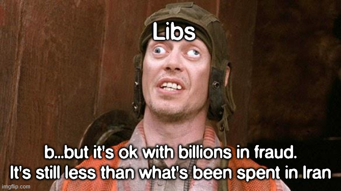 Steve Buscemi | Libs b...but it's ok with billions in fraud. It's still less than what's been spent in Iran | image tagged in steve buscemi | made w/ Imgflip meme maker