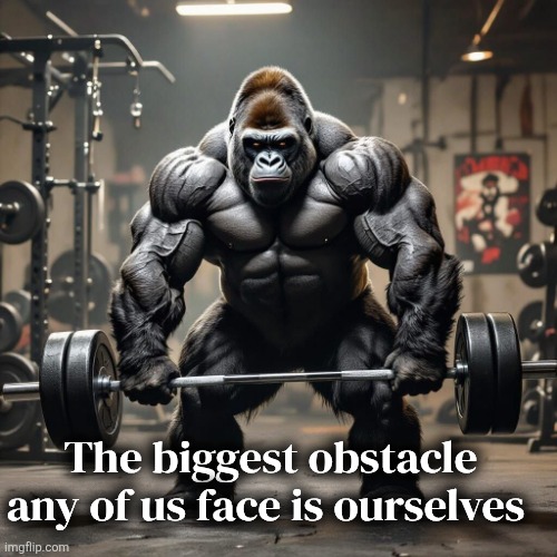 Bodybuilding motivation quotes | The biggest obstacle any of us face is ourselves | image tagged in pfdhajdbybsq1kvtzyvw--0--ystbb jpg | made w/ Imgflip meme maker