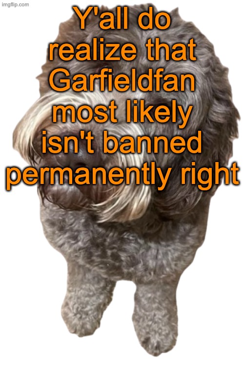 Northers Dog (Transparent) | Y'all do realize that Garfieldfan most likely isn't banned permanently right | image tagged in northers dog transparent | made w/ Imgflip meme maker