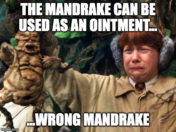 mandrake | The mandrake can be used as an ointment... ...WRONG MANDRAKE | image tagged in mandrake | made w/ Imgflip meme maker