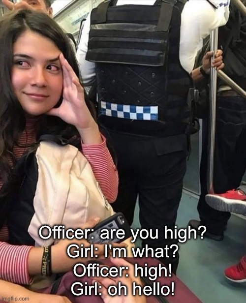 Hello | Officer: are you high?
Girl: I'm what?
Officer: high!
Girl: oh hello! | image tagged in img_6100 jpeg,hello,police,high | made w/ Imgflip meme maker
