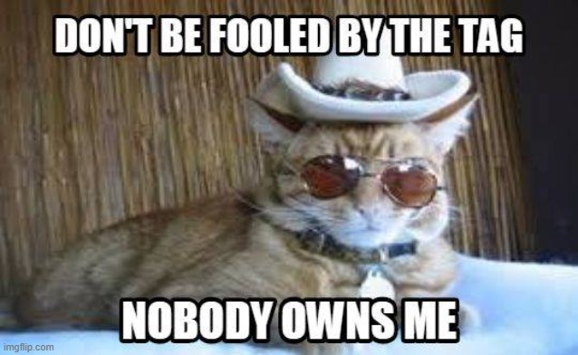 Kitty Issues Warning to Unwary Humans | image tagged in cowboy kitty,self-ownership | made w/ Imgflip meme maker