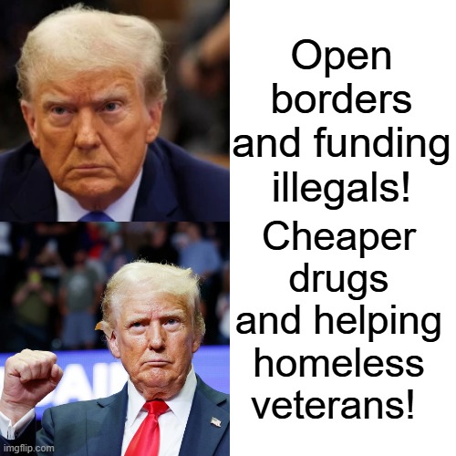 No to illegals!! Yes, to cheaper drugs, helping homeless vets!! | Open borders and funding illegals! Cheaper drugs and helping homeless veterans! | image tagged in no - yes | made w/ Imgflip meme maker