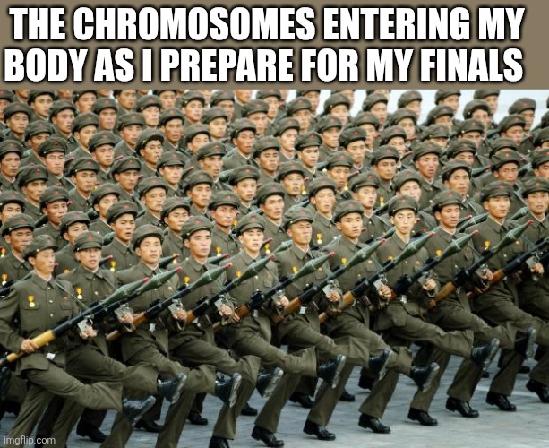 I'm not growing up, I'm just burning out, and I stepped in line to walk amongst the dead | The chromosomes entering my body as I prepare for my finals | image tagged in north korean military march | made w/ Imgflip meme maker