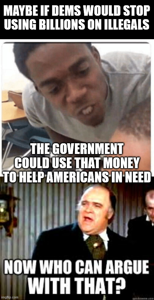 Stop using American taxpayer money on illegals | Maybe if dems would stop using billions on illegals; The government could use that money to help Americans in need | image tagged in just say it,now who can argue with that,more money to needy americans | made w/ Imgflip meme maker