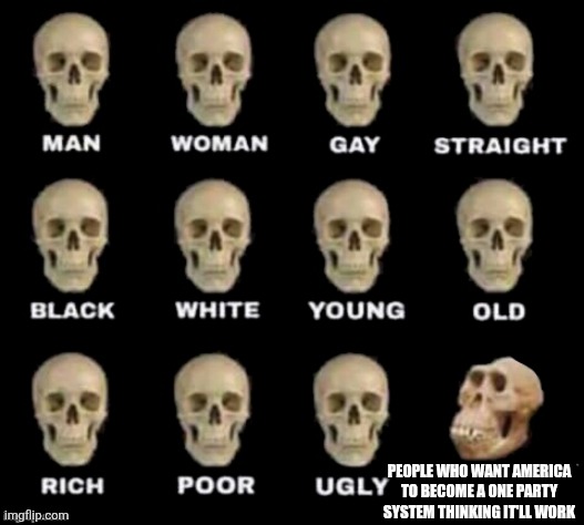 The fact people on both sides want this is disturbing | People who want America to become a one party system thinking it'll work | image tagged in idiot skull | made w/ Imgflip meme maker