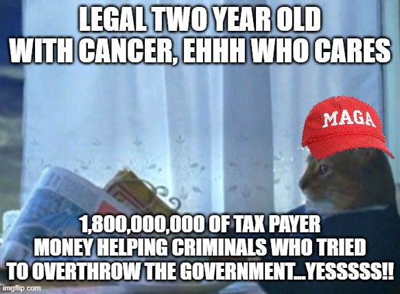 Maga logic | legal two year old with cancer, ehhh who cares; 1,800,000,000 of tax payer money helping criminals who tried to overthrow the government...yesssss!! | image tagged in memes,i should buy a boat cat | made w/ Imgflip meme maker