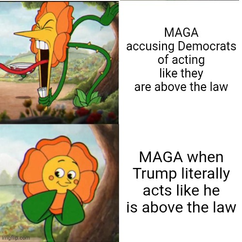 Your "no one's above the law" stance goes out the window for your own favorite politician | MAGA accusing Democrats of acting like they are above the law; MAGA when Trump literally acts like he is above the law | image tagged in cuphead flower,maga,conservative hypocrisy,conservative logic,donald trump | made w/ Imgflip meme maker