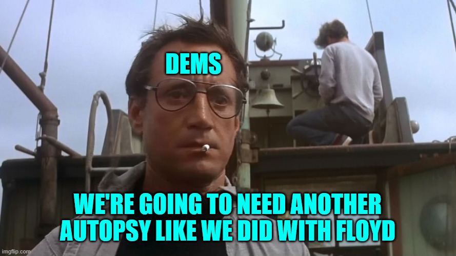 dems disavowing autopsy ordered by DNC | dems; we're going to need another autopsy like we did with Floyd | image tagged in dnc autopsy,going to need another one | made w/ Imgflip meme maker