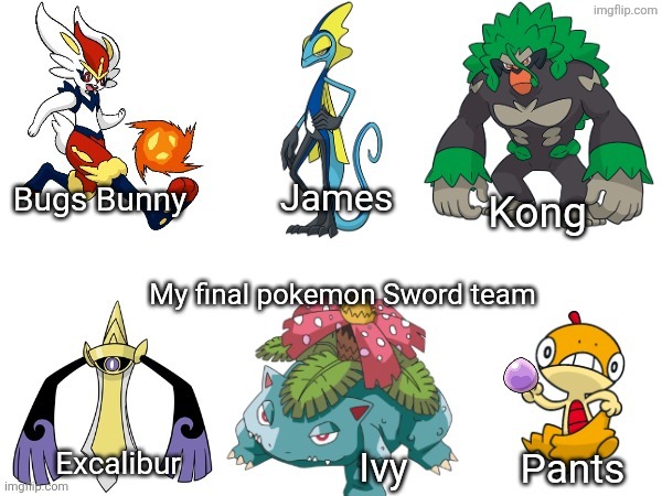 Yep, this is legitimately the team I used in my replaythrough of Pokemon Sword. | image tagged in pokemon sword and shield | made w/ Imgflip meme maker