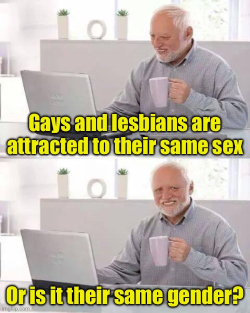 Gays and lesbians are attracted to their same sex Or is it their same gender? | image tagged in memes,hide the pain harold | made w/ Imgflip meme maker