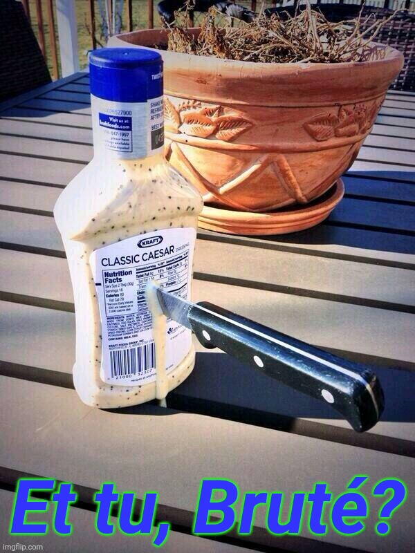 Et tu, Bruté? | image tagged in caesar dressing stabbed | made w/ Imgflip meme maker