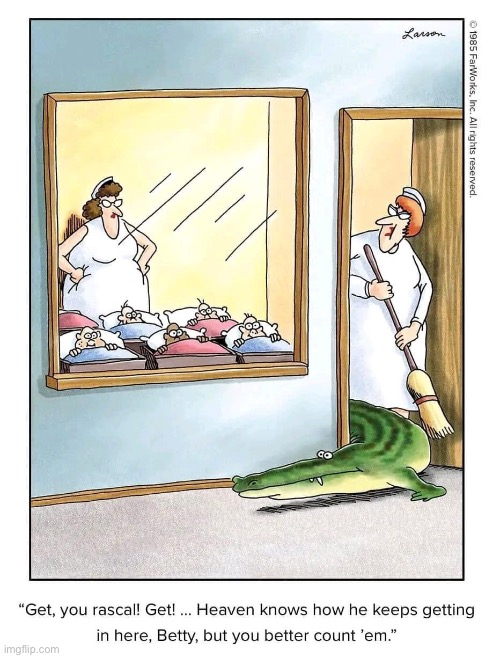 He’s a sneaky rascal | image tagged in the far side,comics,maternity ward,nurses,babies,alligator | made w/ Imgflip meme maker