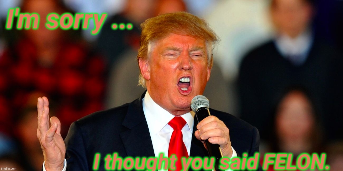 I'm sorry ... I thought you said FELON. | image tagged in donald trump orange | made w/ Imgflip meme maker