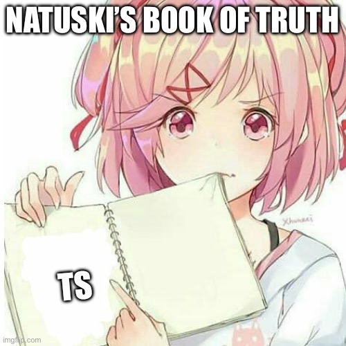 Natuski’s book of truth Ts | made w/ Imgflip meme maker
