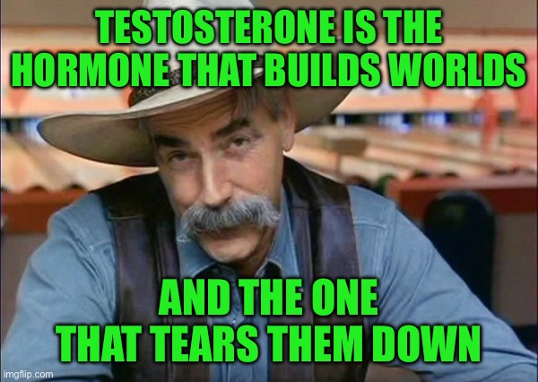 Sam Elliott special kind of stupid | Testosterone is the hormone that builds worlds; And the one that tears them down | image tagged in sam elliott special kind of stupid | made w/ Imgflip meme maker