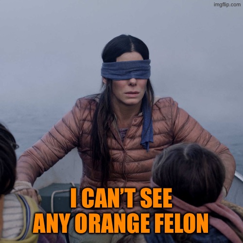 Bird Box Meme | I can’t see any orange felon | image tagged in memes,bird box | made w/ Imgflip meme maker