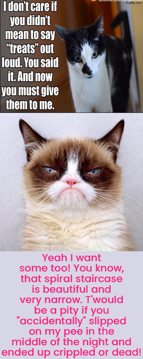 T'would Be A Pity | Yeah I want some too! You know, that spiral staircase is beautiful and very narrow. T'would be a pity if you "accidentally" slipped on my pee in the middle of the night and ended up crippled or dead! | image tagged in cats,grumpy cat,blackmail,feed me,evil overlord rules,funny cats | made w/ Imgflip meme maker