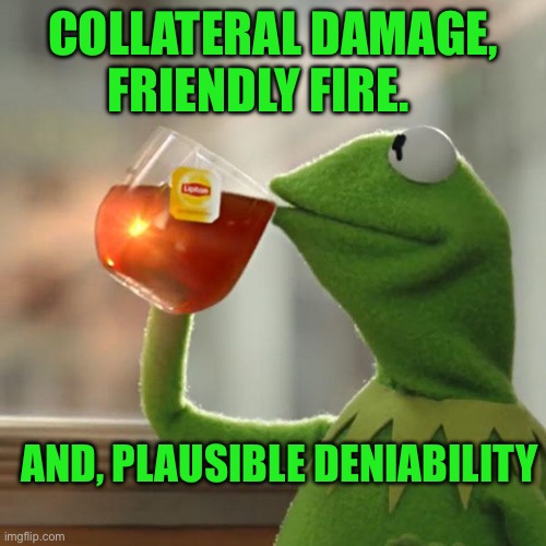 But That's None Of My Business Meme | Collateral damage, friendly fire. AND, PLAUSIBLE DENIABILITY | image tagged in memes,but that's none of my business,kermit the frog | made w/ Imgflip meme maker