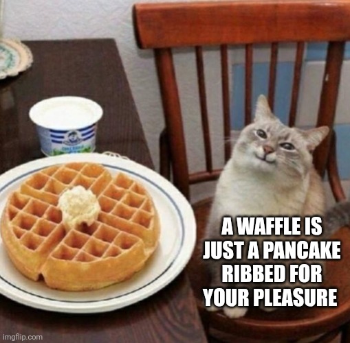 Cat likes their waffle | A waffle is just a pancake ribbed for your pleasure | image tagged in cat likes their waffle | made w/ Imgflip meme maker
