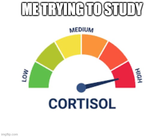 Me trying to study | image tagged in high cortisol | made w/ Imgflip meme maker