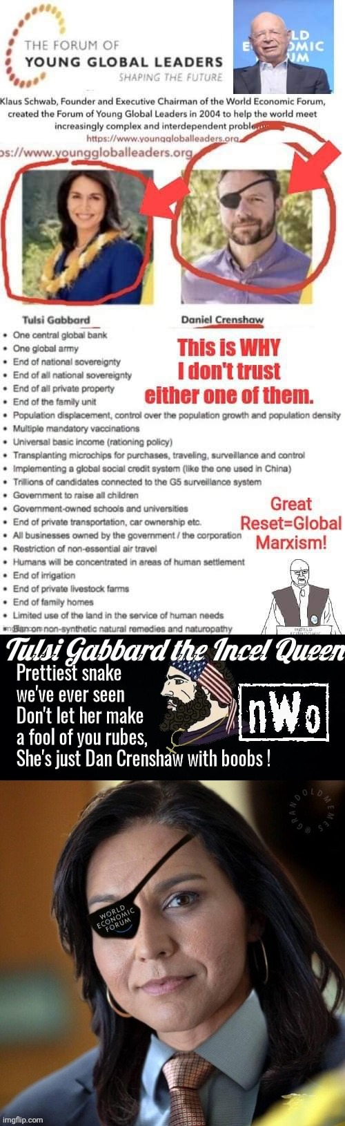 image tagged in tulsi gabbard wef,tulsa gabbard incel queen | made w/ Imgflip meme maker