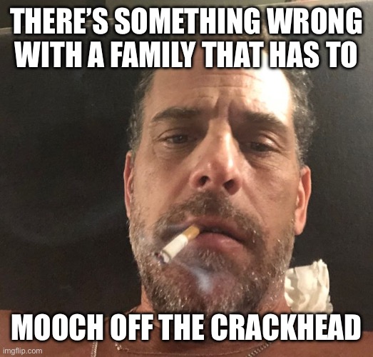 Hunter Biden | There’s something wrong with a family that has to Mooch off the crackhead | image tagged in hunter biden | made w/ Imgflip meme maker