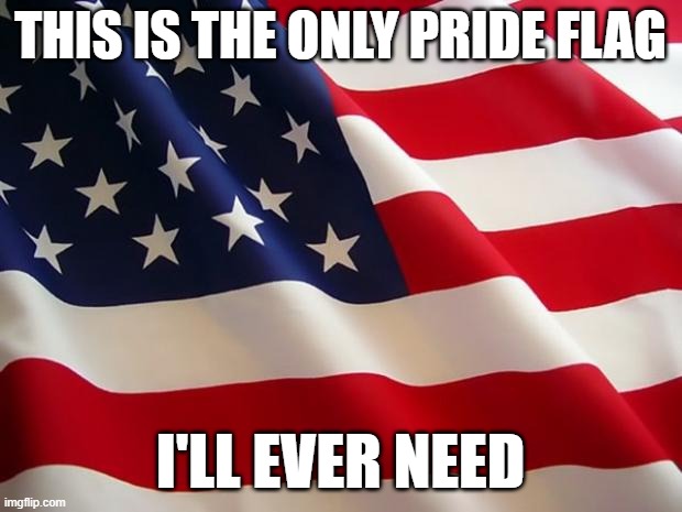 Now flood the stream with this flag! | This is the only pride flag; I'll ever need | image tagged in american flag,patriotism,patriotic | made w/ Imgflip meme maker