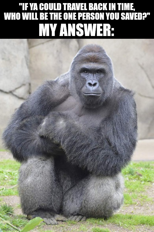 Harambe | "If ya could travel back in time, who will be the one person you saved?"; My answer: | image tagged in memes,rescue,harambe | made w/ Imgflip meme maker