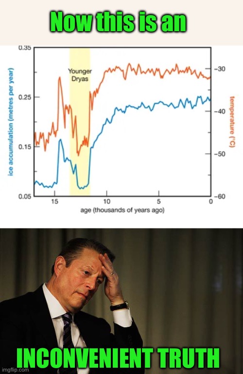 Now this is an INCONVENIENT TRUTH | image tagged in al gore facepalm | made w/ Imgflip meme maker