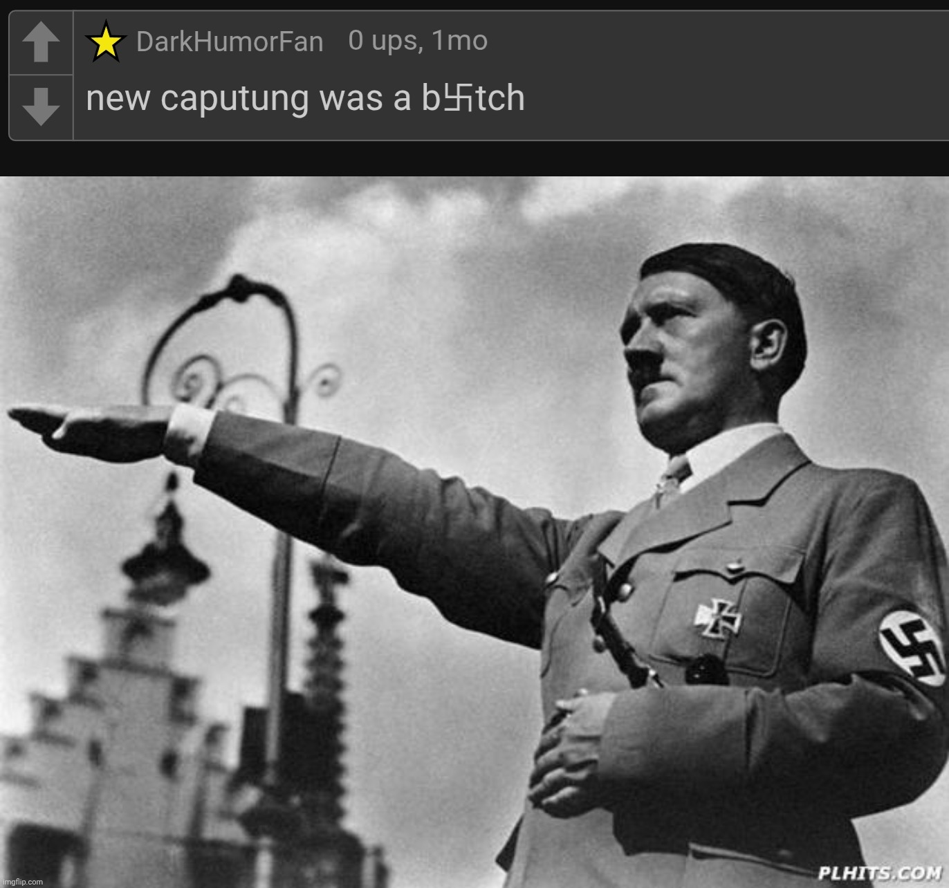 YOU GOD DAMN BASTARD!! YOU'RE NAZI!! | image tagged in hitler,nazi,adolf hitler,fat bastard | made w/ Imgflip meme maker