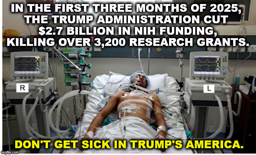 Ballrooms don't fight cancer. | In the first three months of 2025, 
the Trump administration cut 
$2.7 billion in NIH funding, killing over 3,200 research grants. Don't get sick in Trump's America. | image tagged in freedom tyranny ventilator patient,trump,health,research,medicine,tax cuts for the rich | made w/ Imgflip meme maker