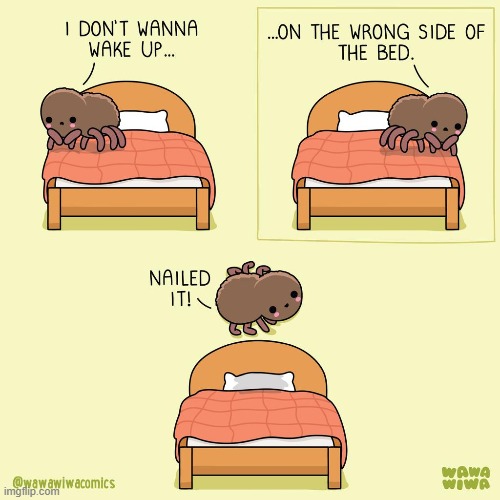 image tagged in spider,wake up,wrong,side,bed,nailed it | made w/ Imgflip meme maker