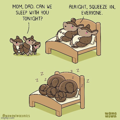 image tagged in armadillos,family,bed,sleep,sleeping,so cute | made w/ Imgflip meme maker